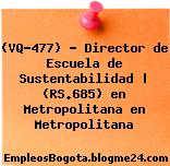 (VQ-477) – Director de Escuela de Sustentabilidad | (RS.685) en Metropolitana en Metropolitana