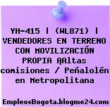 YH-415 | (WL871) | VENDEDORES EN TERRENO CON MOVILIZACIÓN PROPIA ¡Altas comisiones / Peñalolén en Metropolitana