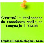 (ZPO-45) – Profesores de Enseñanza Media en Lenguaje | EG105