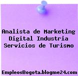 Analista de Marketing Digital – Industria Servicios de Turismo