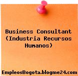 Business Consultant (Industria Recursos Humanos)