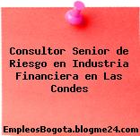 Consultor Senior de Riesgo en Industria Financiera en Las Condes