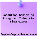 Consultor Senior de Riesgo en Industria Financiera