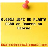 G.002] JEFE DE PLANTA AGRO en Osorno en Osorno