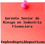 Gerente Senior de Riesgo en Industria Financiera