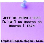 JEFE DE PLANTA AGRO [C.131] en Osorno en Osorno | I674