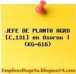 JEFE DE PLANTA AGRO [C.131] en Osorno | (KG-616)