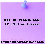 JEFE DE PLANTA AGRO [C.131] en Osorno