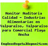 Monitor Auditoria Calidad – Industrias Alimentarias en Valparaíso, Valparaíso para Comercial Playa Ancha