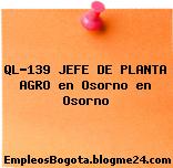 QL-139 JEFE DE PLANTA AGRO en Osorno en Osorno