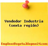 Vendedor Industria (sexta región)