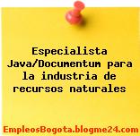 Especialista Java/Documentum para la industria de recursos naturales