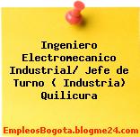 Ingeniero Electromecanico Industrial/ Jefe de Turno ( Industria) Quilicura