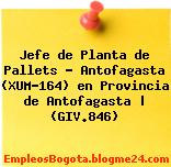 Jefe de Planta de Pallets – Antofagasta (XUM-164) en Provincia de Antofagasta | (GIV.846)