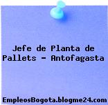 Jefe de Planta de Pallets – Antofagasta