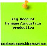 Key Account Manager/industria productiva