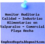 Monitor Auditoria Calidad – Industrias Alimentarias en Valparaíso – Comercial Playa Ancha