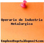 Operario de Industria Metalurgica