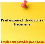 Profesional Industria Maderera