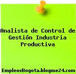 Analista de Control de Gestión Industria Productiva