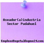Aseador(a)industria Sector Pudahuel
