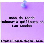 Aseo de tarde industria quilicura en Las Condes