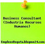 Business Consultant (Industria Recursos Humanos)
