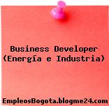 Business Developer (Energía e Industria)