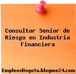 Consultor Senior de Riesgo en Industria Financiera