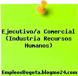 Ejecutivo/a Comercial (Industria Recursos Humanos)