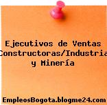 Ejecutivos de Ventas Constructoras/Industria y Minería