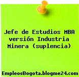 Jefe de Estudios MBA versión Industria Minera (suplencia)