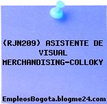 (RJN209) ASISTENTE DE VISUAL MERCHANDISING-COLLOKY
