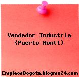 Vendedor Industria (Puerto Montt)