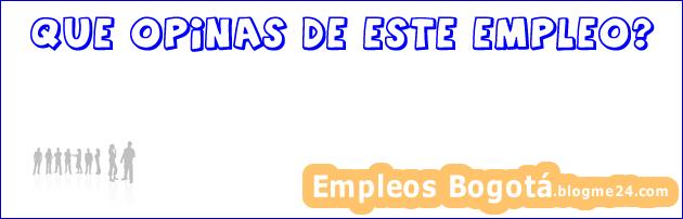 practicante de ingeniería NT690