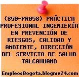 (850-PR058) PRÁCTICA PROFESIONAL INGENIERÍA EN PREVENCIÓN DE RIESGOS, CALIDAD Y AMBIENTE, DIRECCIÓN DEL SERVICIO DE SALUD TALCAHUANO