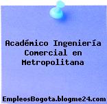 Académico Ingeniería Comercial en Metropolitana