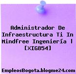 Administrador De Infraestructura Ti In Mindfree Ingeniería | [XIG854]