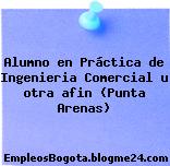Alumno en Práctica de Ingenieria Comercial u otra afin (Punta Arenas)