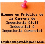 Alumno en Práctica de la Carrera de Ingeniería Civil Industrial ó Ingeniería Comercial