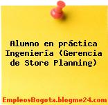 Alumno en práctica Ingeniería (Gerencia de Store Planning)