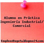 Alumno en Práctica Ingeniería Industrial/ Comercial