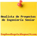 Analista de Proyectos de Ingeniería Senior