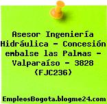 Asesor Ingeniería Hidráulica – Concesión embalse las Palmas – Valparaíso – 3828 (FJC236)