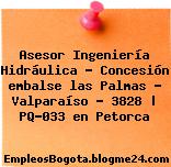Asesor Ingeniería Hidráulica – Concesión embalse las Palmas – Valparaíso – 3828 | PQ-033 en Petorca