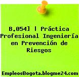 B.054] | Práctica Profesional Ingeniería en Prevención de Riesgos