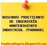 BUSCAMOS PRACTICANTE DE INGENIERÍA MANTENIMIENTO INDUSTRIAL /PUDAHUEL