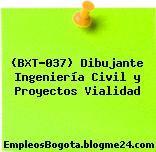 (BXT-037) Dibujante Ingeniería Civil y Proyectos Vialidad