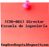 (C56-061) Director Escuela de ingeniería