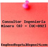 Consultor Ingeniería Minero (A) – [UC-892]
